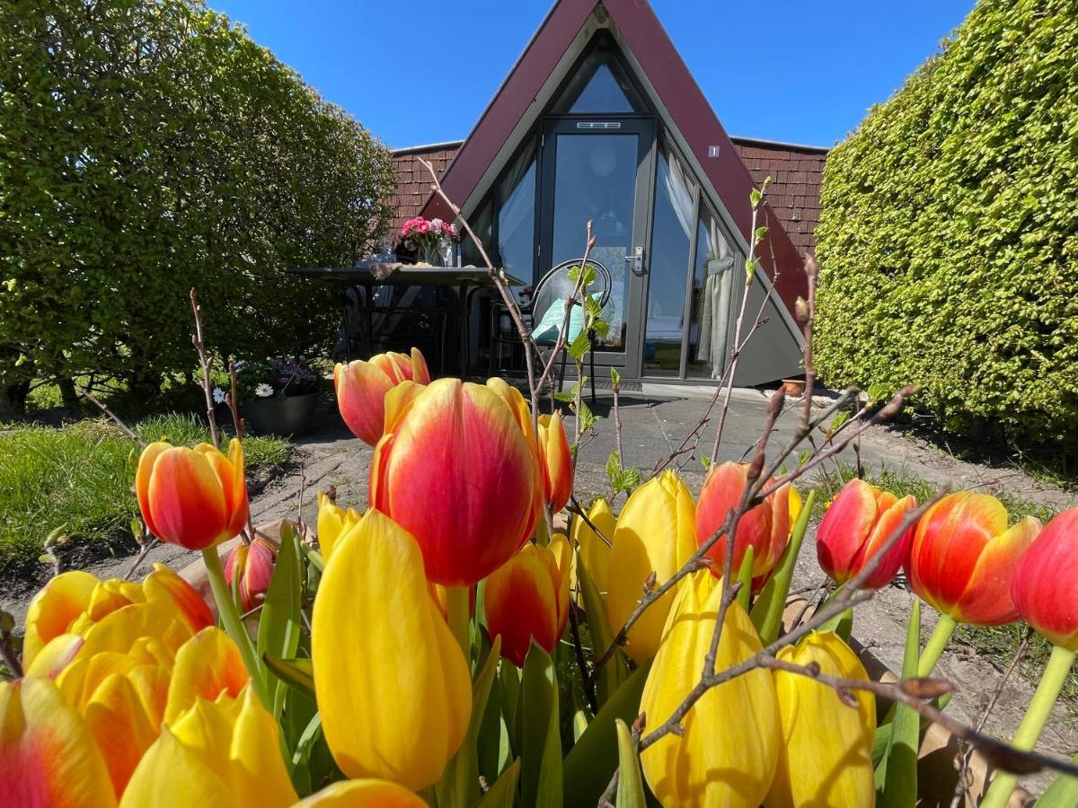 Hotelhuisjes Andijk Bagian luar foto