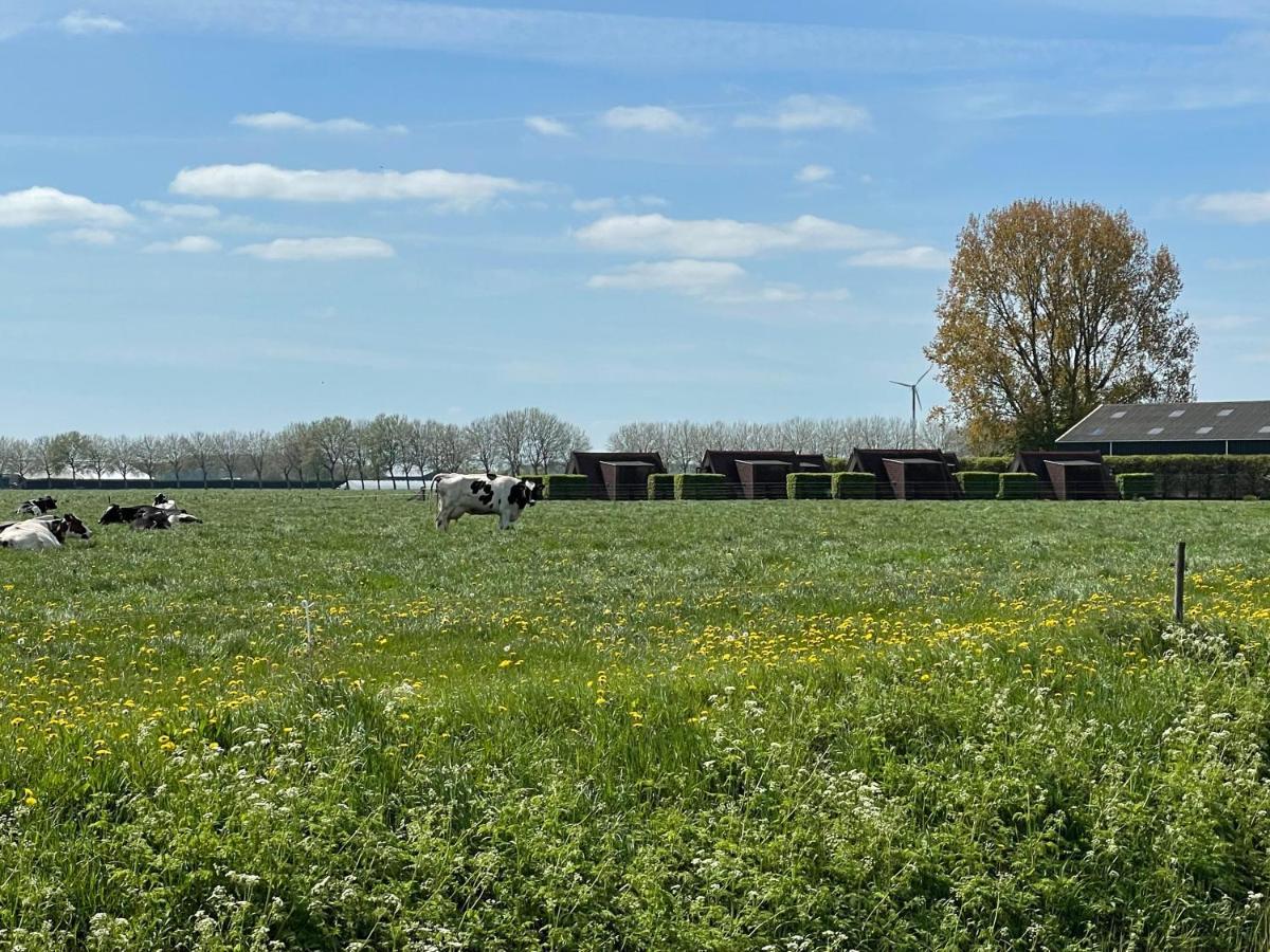 Hotelhuisjes Andijk Bagian luar foto