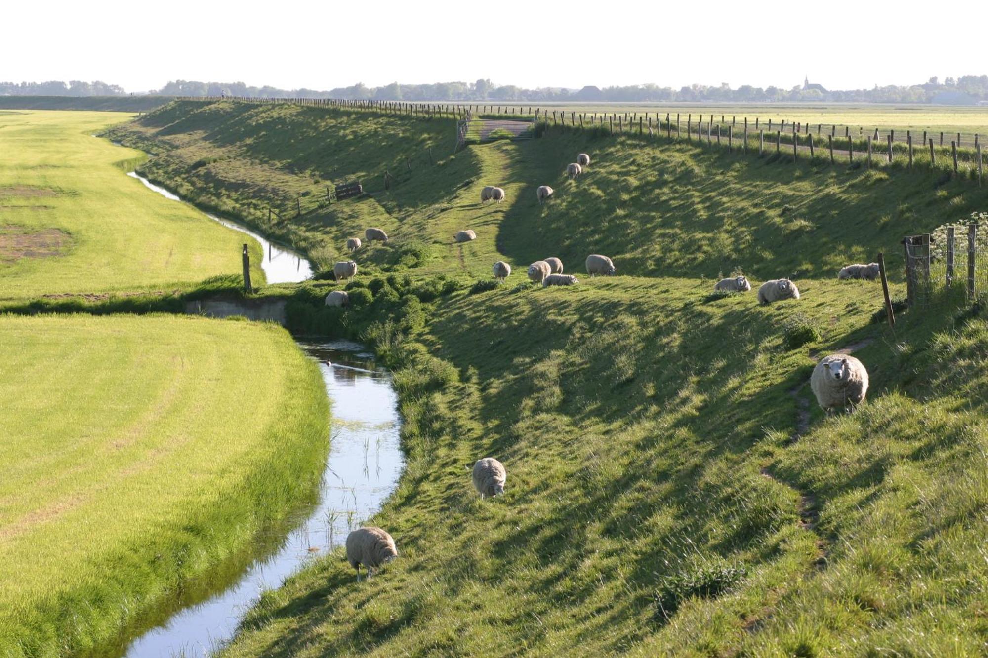 Hotelhuisjes Andijk Bagian luar foto
